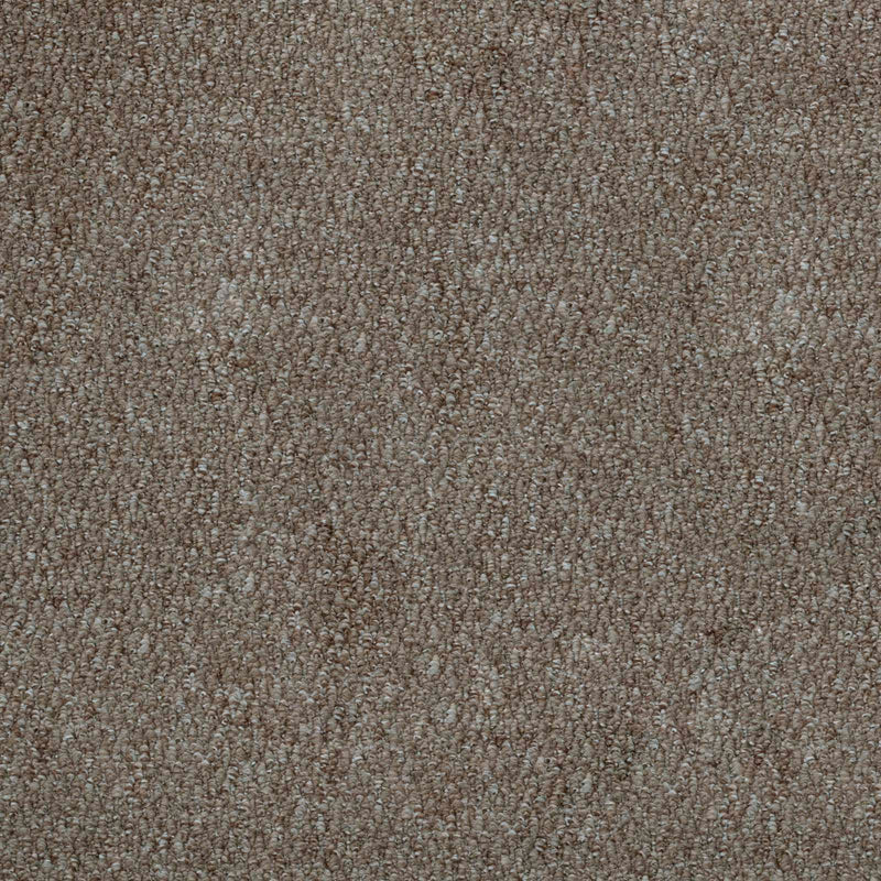 Light Brown Port Loop Carpet - Far