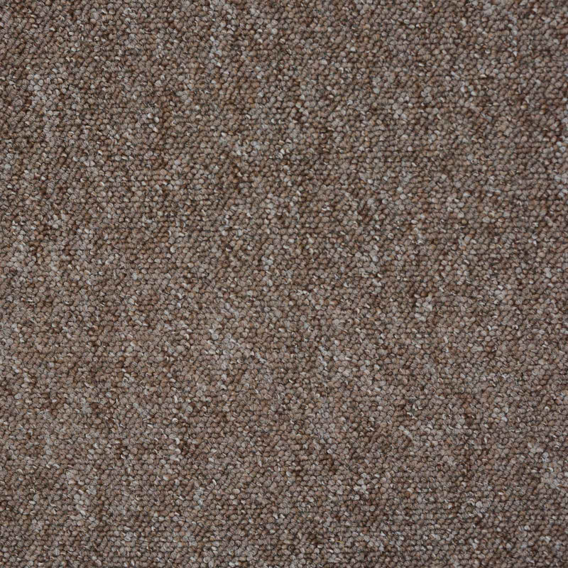 Light Brown Vegas Loop Carpet