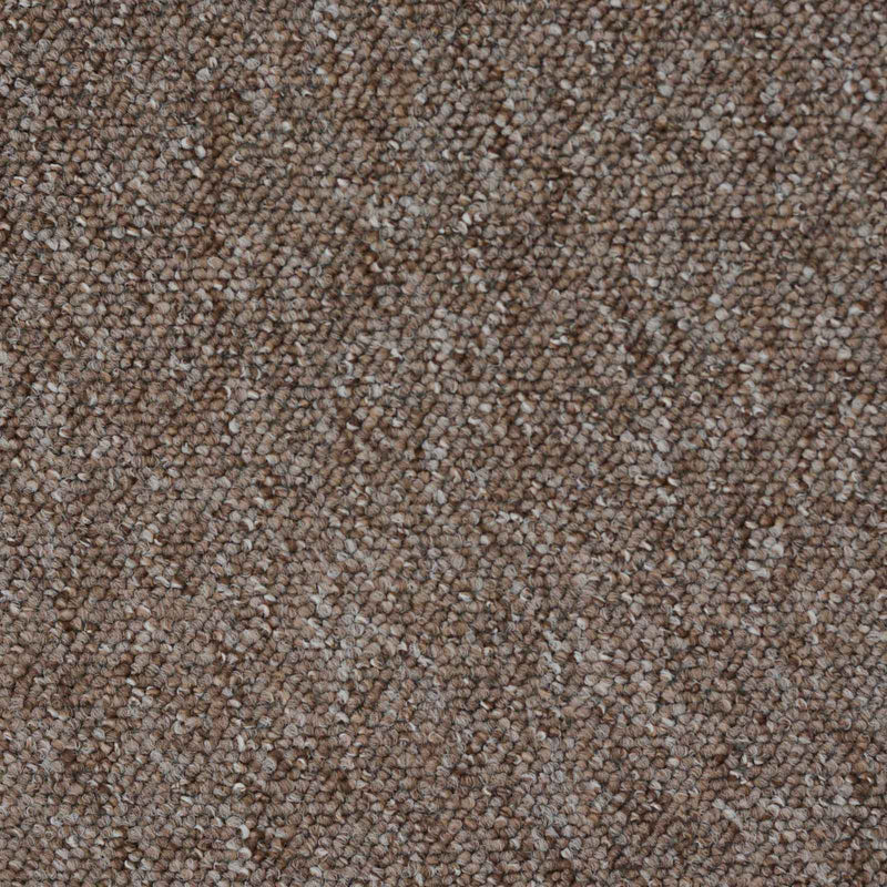 Light Brown Vegas Loop Carpet