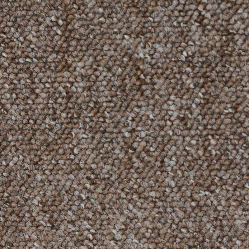 Light Brown Vegas Loop Carpet