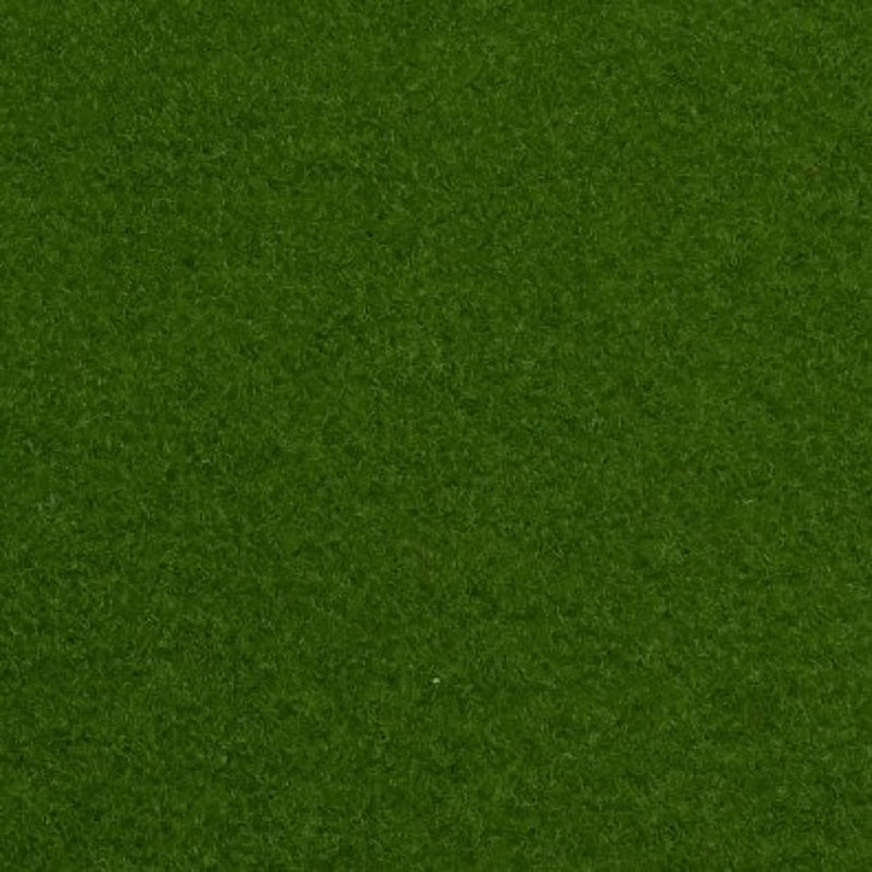 Light Green Outdoor Carpet - Close