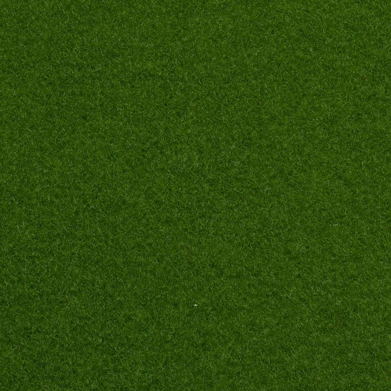 Light Green Outdoor Carpet - Far