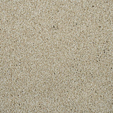 Macadamia Sensation Heathers 60oz Carpet