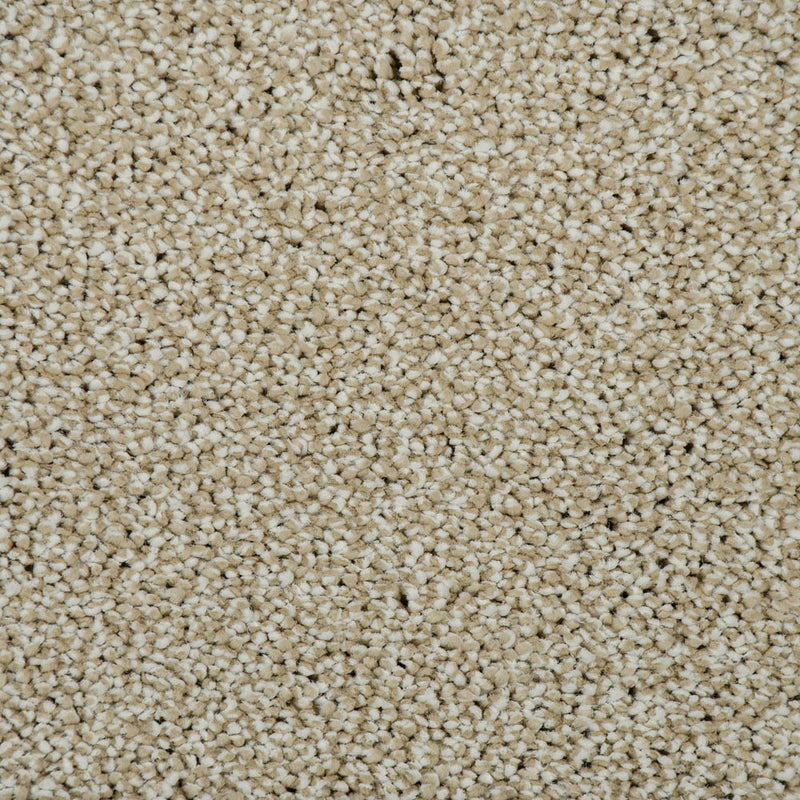 Macadamia Sensation Heathers 60oz Carpet