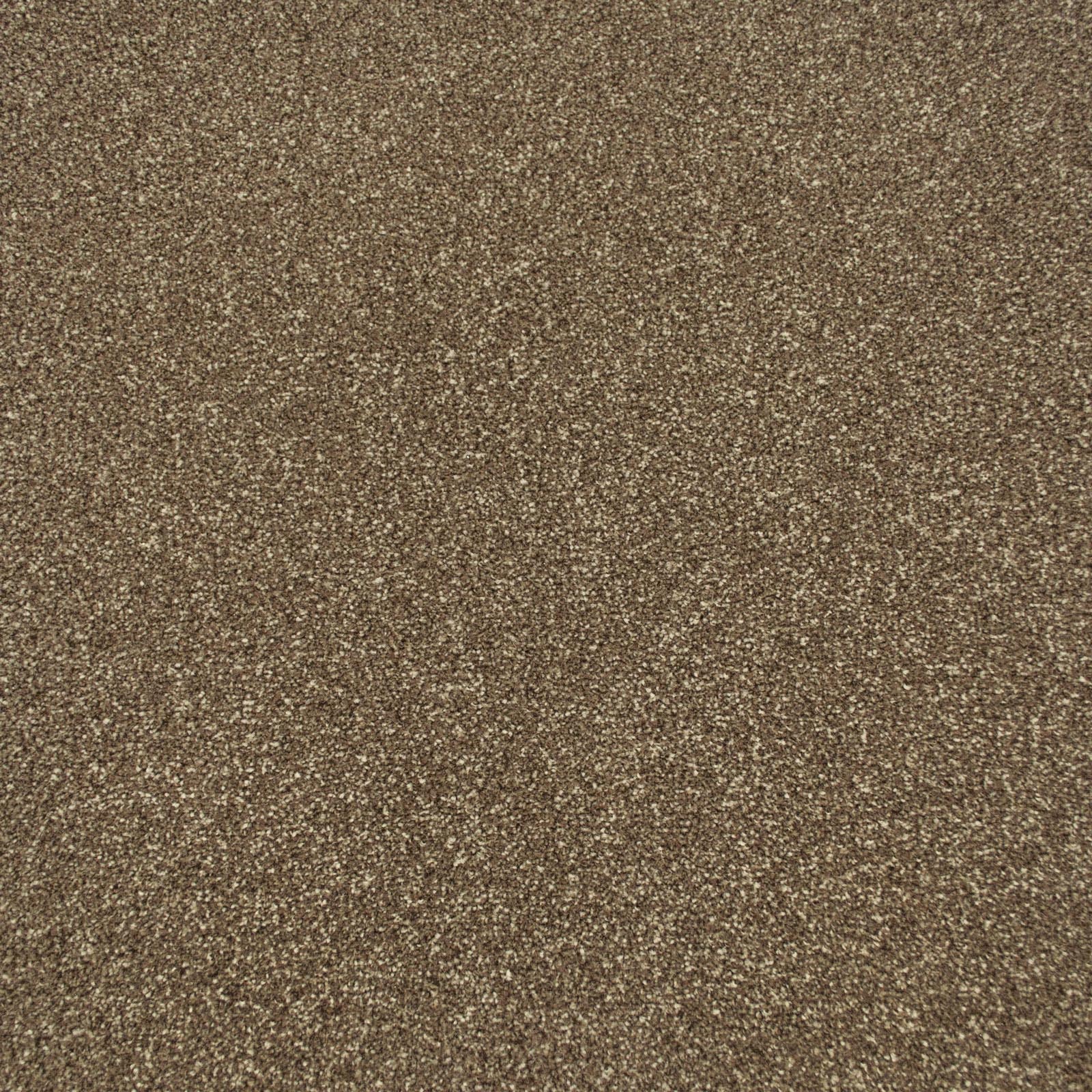 Mahogany Apollo Plus Carpet | More For Your Floor – More For Your Floor UK