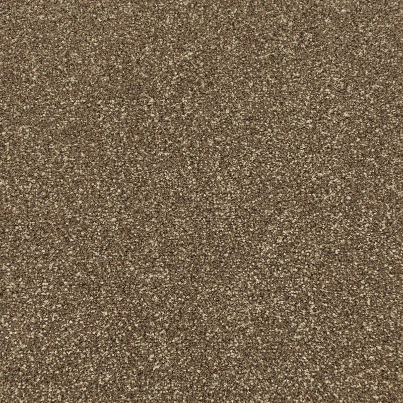 Mahogany Apollo Plus Carpet | More For Your Floor – More For Your Floor UK