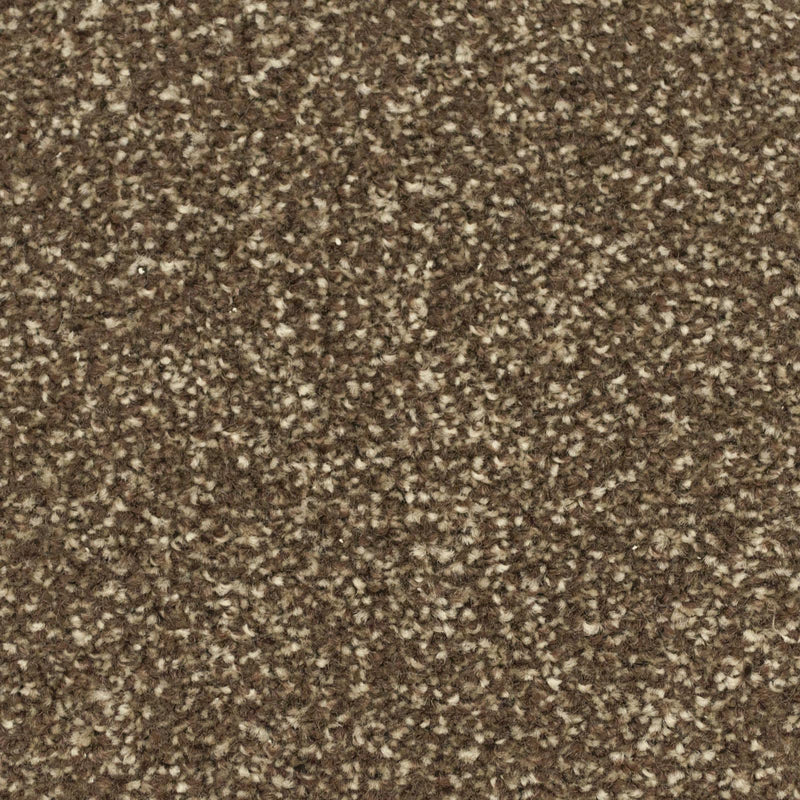 Mahogany Apollo Plus Carpet