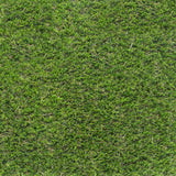 Mint 35mm Artificial Grass