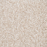 Pale Beige Soft Supreme Action Back Saxony Carpet