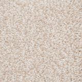 Pale Beige Soft Supreme Felt Back Saxony Carpet