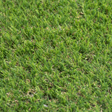 Pitaya 25mm Artificial Grass