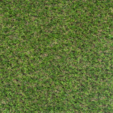 Pitaya 25mm Artificial Grass