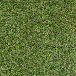 Pitaya 25mm Artificial Grass