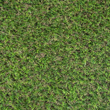 Pitaya 25mm Artificial Grass