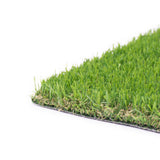 Pitaya 25mm Artificial Grass