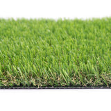 Pitaya 25mm Artificial Grass