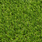 Plum 42mm Artificial Grass