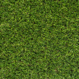 Plum 42mm Artificial Grass