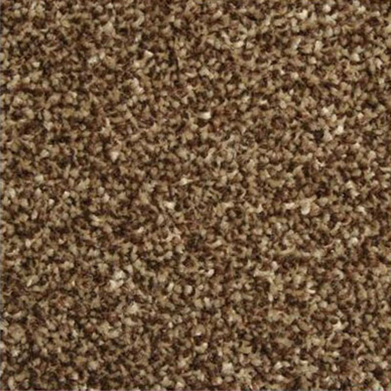 Chocolate Primo Ultra Carpet