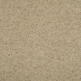 Seed Natural Berber Twist Deluxe 55oz Carpet