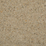 Seed Natural Berber Twist Deluxe 55oz Carpet