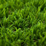 Shamrock Artificial Grass - Close Detail