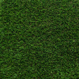 Shamrock Artificial Grass - Far