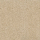 Blanche White 30 Sirius 70oz Invictus Carpet