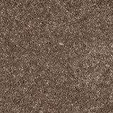 Den 45 Sirius 70oz Invictus Carpet