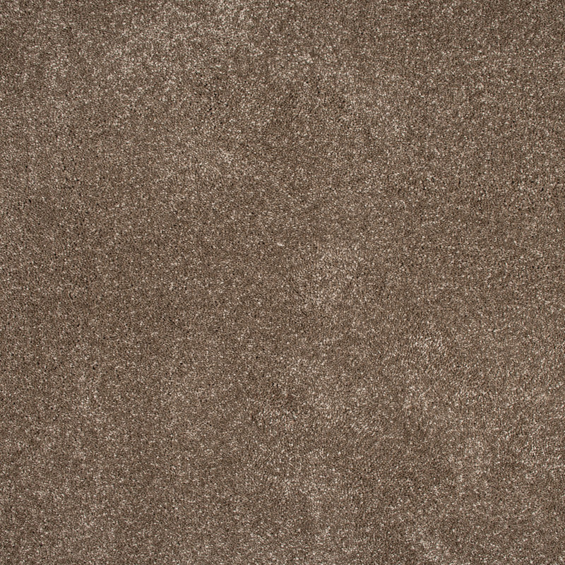 Den 45 Sirius 70oz Invictus Carpet