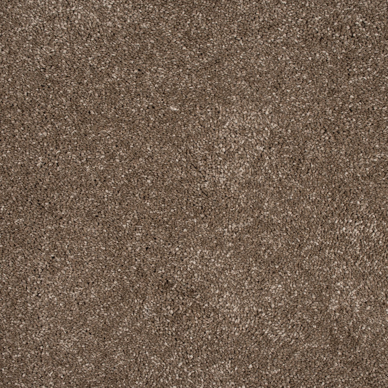 Den 45 Sirius 70oz Invictus Carpet