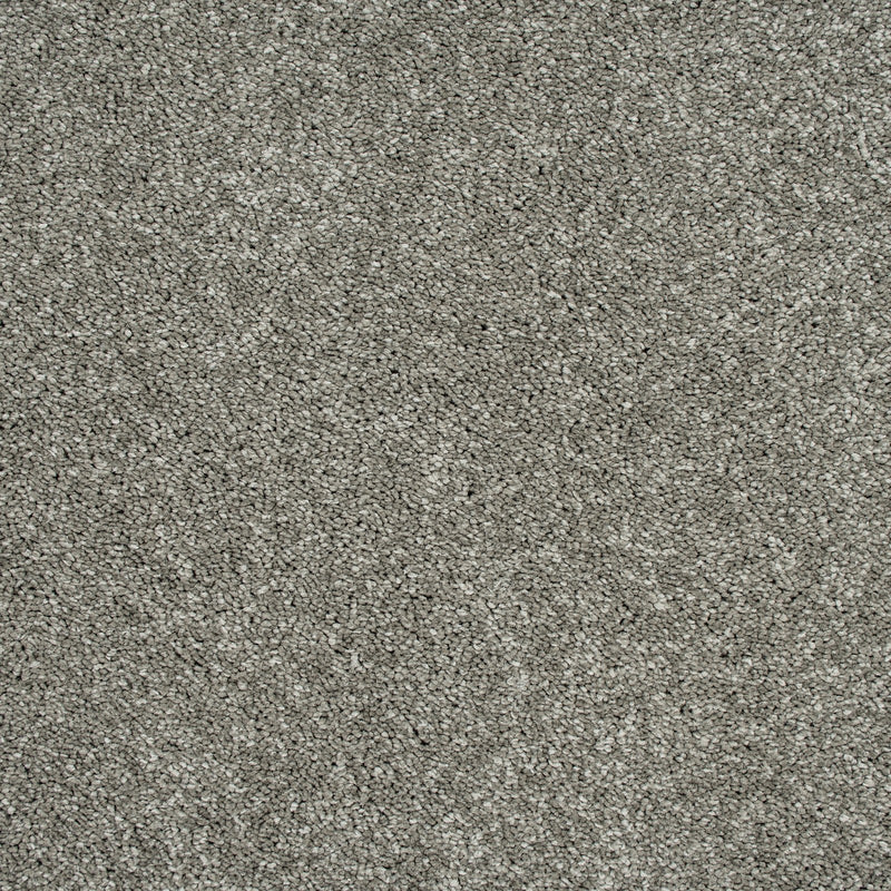 Elder Bark 93 Sirius 70oz Invictus Carpet