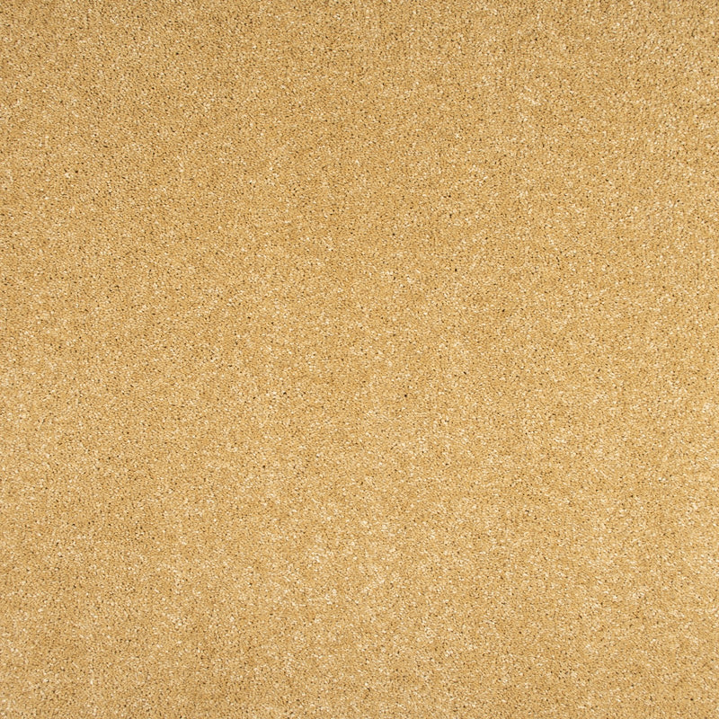 Golden Honey 54 Sirius 70oz Invictus Carpet