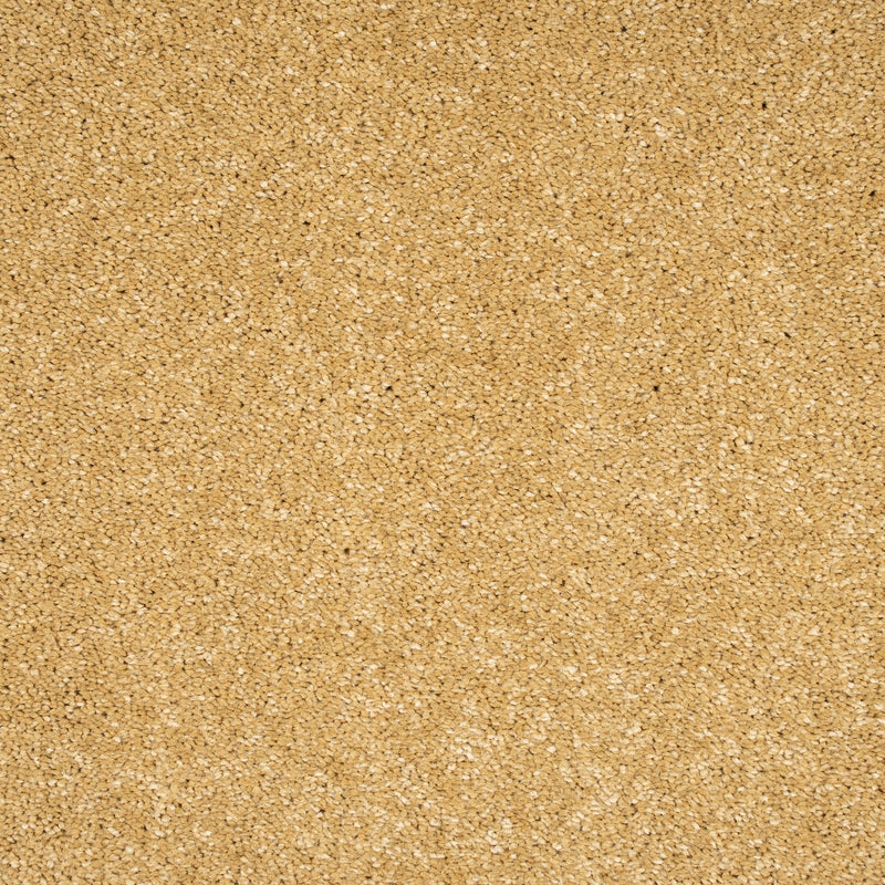 Golden Honey 54 Sirius 70oz Invictus Carpet