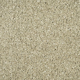 Sage Grey 28 Sirius 70oz Invictus Carpet