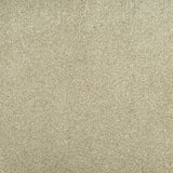 Sage Grey 28 Sirius 70oz Invictus Carpet