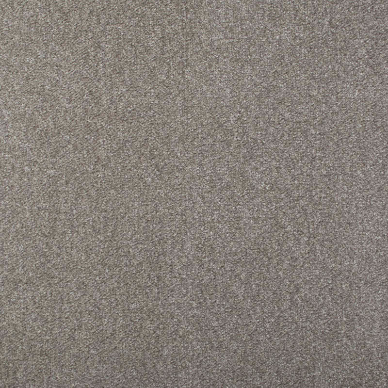 Stone Grey Admiral Saxony Carpet - Far