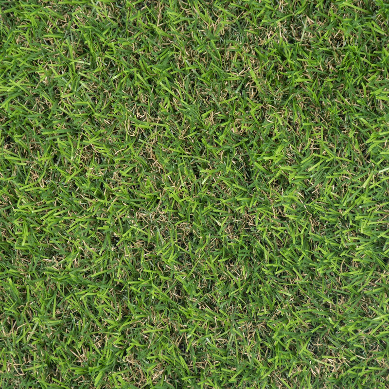 Thyme 27mm Artificial Grass