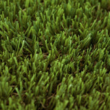 Tiger Lily Artificial Grass - Close Detail