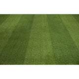 Tiger Lily Artificial Grass - Far Detail