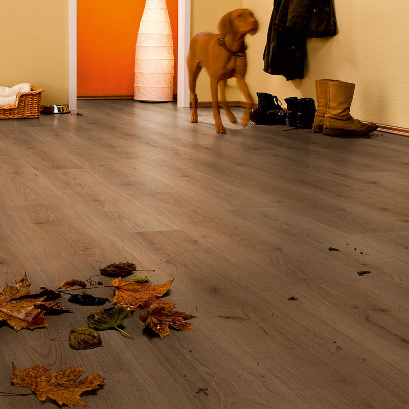 Trend Oak Brown Advanced Laminate Flooring - Lifestyle 1