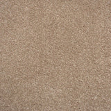 Warm Beige Soft Supreme Action Back Saxony Carpet