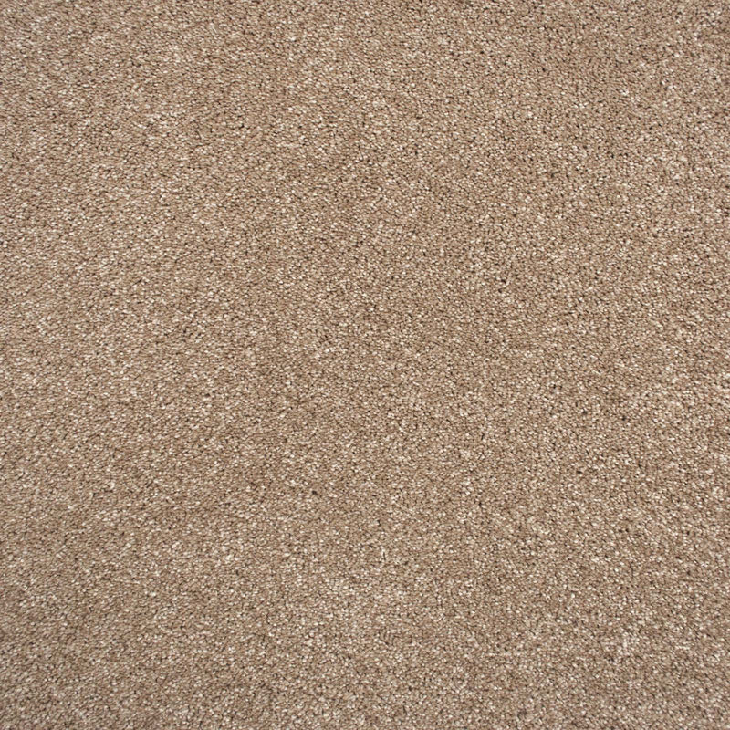 Warm Beige Soft Supreme Action Back Saxony Carpet