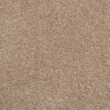 Warm Beige Soft Supreme Action Back Saxony Carpet