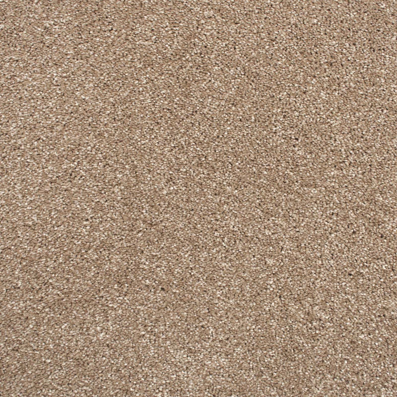 Warm Beige Soft Supreme Action Back Saxony Carpet