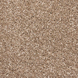 Warm Beige Soft Supreme Action Back Saxony Carpet