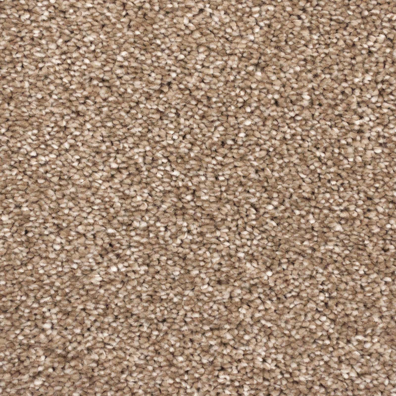 Warm Beige Soft Supreme Action Back Saxony Carpet