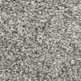 Warm Grey Supreme Action Back Saxony Carpet - Close
